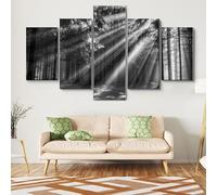 5 pannelli da parete stampe su tela Raggi di sole nella foresta al mattino,Quadro Multipannello su Tela 5 Pezzi,quadro moderno 5 pezzi in legno vogue,Decorativa per Soggiorno Stanza da Letto 100x55cm