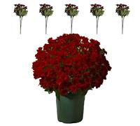 5 PCS Artificial Outdoor Sunset Mums Flowers, Colorful, Artificial Decorative Bouquets for Indoor and Outdoor(Red)