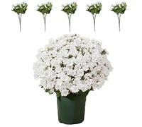 5 PCS Artificial Outdoor Sunset Mums Flowers, Colorful, Artificial Decorative Bouquets for Indoor and Outdoor(White)