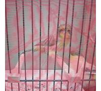 5 Pcs Borsa Per La Spedizione Del Pacco Da Viaggio Piccoli Animali