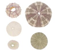 5 Pcs Decorazioni Acquario Arredo Ornamento Di Riccio Mare Decorazione