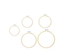 5 Pcs Garland Lot For Home Decoration Cerchi Da Ricamo Rotondi Anelli Materiale