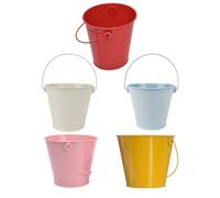 5 Pcs Mini Secchi Decorativi Piccolo Secchiello Di Latta Vaso Fiori