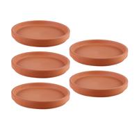 5 Pcs Vaso Piante Grasse Sottovasi Terracotta Piccoli Sottovaso in Pianta