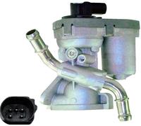 5 Perno Acqua Cooled EGR Valvola Per Ford Transit Ranger Tourneo Custom 1788657