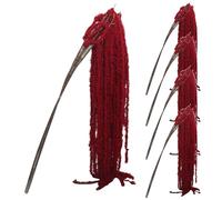 5 pezzi di fiori pendenti di amaranto essiccato da 51 pollici fiore artificiale di amaranto conservato reale per la decorazione della parete di casa dell'arco di nozze.