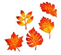 5 pezzi foglie d'acero portabicchieri stuoia stampo foglia sottobicchieri