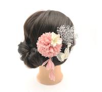 5 Pezzi Giapponese Capelli Clip Forcina Farfalla Fiore Gruppi Acconciatura per