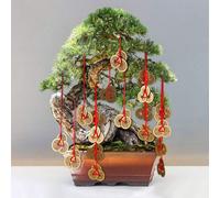 5 pezzi Monete della fortuna cinese, monete feng shui, ornamenti, monete I Ching, monete della fortuna tradizionali per il Capodanno cinese con cordino rosso per la ricchezza e il successo, decorazion