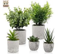 5 Pezzi Piante Finte da Interno con Vasetto, Pianta Finta Artificiali Plastica Piccole in Vaso, Piantina Eucalipto e Succulente, Piantine Finte Decorative Verdi per Decorazioni Salotto, Ufficio, Bagno