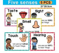5 PEZZI Poster Diagramma dei Cinque Sensi per insegnanti, giocattolo educativo per bambini, schede didattiche, strumento di apprendimento per bambini, forniture scolastiche, decorazione da parete per