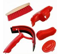 5 Pezzi Set di Attrezzi per Toelettatura Equina con Borsa Trasparen Richiudibile Kit Toeletta Equina Completo per Proprietari di Scuderie