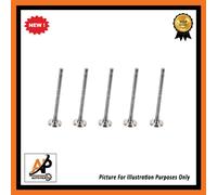 5 Pezzi Set Valvola di Scarico per Renault 0.9 12V & 1.2 16V Tce H4B & H5F