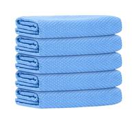 5 Pezzi Strofinaccio da Cucina Panno Multi-Funzionale Senza Aloni Panno di Pulizia in Microfibra 30x40cm, Panno Assorbente per Rimuovere le Squam di Pesce, Riutilizzabile e Senza Pelucchi, Adatto per