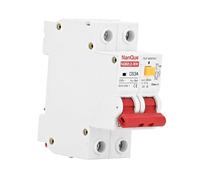 5 pezzi Tipo A RCBO DC Leackaway Protector Classe A RCD Mini interruttore differenziale DPN AC DC 230V 110V 10A 16A 25A 32A(50a)