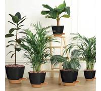 5 pezzi Vasi da interno con auto-irrigazione, fori di drenaggio e vassoi, Utopia casa - Vasi da piante da interno con drenaggio - Vasi da interno - Set di 5 vasi in plastica - Adatti come regali riemp