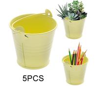 5 Piccoli Secchielli in Metallo, Perfetti Come Vasi per Fiori E Centrotavola.