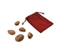 5 pietra a grana di legno- 5 cristalli lucidati con proprietà energetiche (pietra a grana di legno, 5 pezzi)