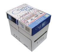 5 pz Excellent Copy Paper carta risma A4 21x29,7 cm, 80gr - 5 x 500 ff