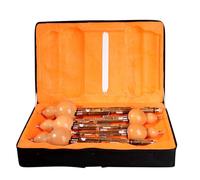 5 pz Hulusi Cinese Fatto A Mano Cucurbita Flauto C/bb/f/b/g Chiave Strumenti Etnici Set Per Principianti amante della musica Zucca Strumento