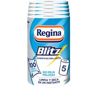 5 PZ REGINA BLITZ ROTOLONE vetri casa