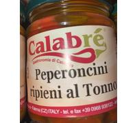 5 PZ VASETTI DI PICCANTINO CALABRESE FUNGHI MELANZANE VERDURE BRUSCHETTA TONNO