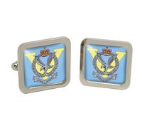 5 Regiment Militare Aria Sanità, Britannico Militare Gemelli Quadrati IN Scatola