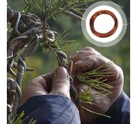 5 Rolls Filo Per Modellare Bonsai Attrezzi Da Giardinaggio Accessori