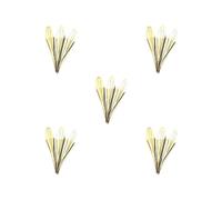 5 set di arpa a bocca di nazionalità Yi con 3 foglie, idea regalo per bambini, facile da suonare, 7 cm