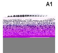 5 Sheets Number Stickers 1-100 Label Sticker For Diy Craft Nail Polish Glue Bottle Scrapbooking Diary Stationery Per Classificazione(A1)