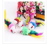 5 simpatici giocattoli per la cattura di gatti e gattini con coda di piuma, giocattoli pratici e intelligenti