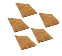 5 tappetini per la deposizione delle uova, accessori facili da pulire,