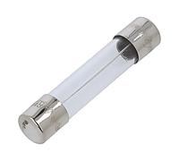 5 x fusibile TSA-250MA: fusione 250 mA 250 VAC in vetro 6,35 x 31,8 mm ottone...