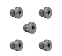 5 X YOU.S Vite Di Olio Per Ingranaggio M10 X 1,0 Per Audi A4 8D2 8D5 A6 4A2 4A5