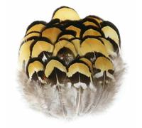 50/100 pezzi di piume di fagiano naturali 5-10 cm piume sciolte fai da te forniture artigianali per legare mosche esche da pesca cappelli decorazioni accessori-08 huang pian-50 pezzi