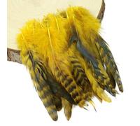 50/100 pezzi di piume di pollo naturali per decorazioni per feste di nozze fai da te, piume di gallo colorate, accessori per capelli, artigianato, 10-15 cm, dorate, 50 pezzi