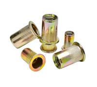 50/100 pz Dadi Rivetti M3 M4 M5 M6 M8 M10 M12 Testa Piatta Inserto Filettato Nutsert Cap for rivettatrice Dado Zincato Acciaio Al Carbonio(50pcs,M6x30)