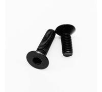 50/100pz M2 M2.5 Nero 304 Acciaio Inox Vite a Testa Svasata Piatta con Esagono Incassato Lunghezza Bullone 3-40mm(50pcs M2x10mm)