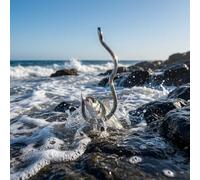 50 ami da pesca con orientamento reversibile e sicurezza spinata, per multi-specie per pesca selvaggia in acque calme (5#)