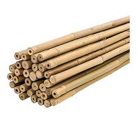50 Canne di Bamboo per orto 120 cm BambÃ¹ tutori sostegno per piante D.10/12 MM