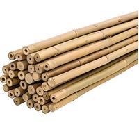 50 Canne di Bamboo per orto 150 cm Bambù tutori sostegno per piante canna