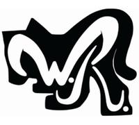 50 CARTONCINI COMICS USA - WR BUSTE per Albi Usa Modern Age originali