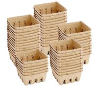 50 cestini per bacche in fibra di cellulosa - contenitori quadrati per pinta, scatole per produttori naturali ventilate, conservatori ecologici per negozi di alimentari, feste, mercato agricolo