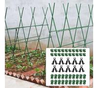 50 Clip Connettore Traliccio Piante per Piante Rampicanti Regolabile 11mm Verde