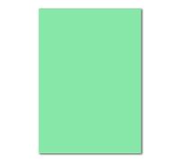 50 Fogli di carta DIN A4 foglio plano - verde menta (verde) - 160 g/m² - 21 x 29,7 cm - foglio per bricolage carta creta cartone fotografico carta per bricolage cartone creta - FarbenFroh