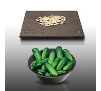 50 graines à semer - Le Grenier d'Abondance - CORNICHON Petit Vert de Paris - Cucumis sativus