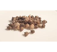 50 graines à semer - Le Grenier d'Abondance - TETRAGONE - Tetragonia tetragonioidi
