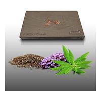 50 graines à semer - Le Grenier d'Abondance - VERVEINE Officinal - Verbena Officinalis