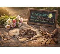 50 graines Fleurs à semer - Le Grenier d'Abondance - FICOÏDE - Lampranthus productus