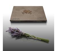 50 Grines Aromatiques à semer - Le Grenier d'Abondance - LAVANDE Vraie - True lavander